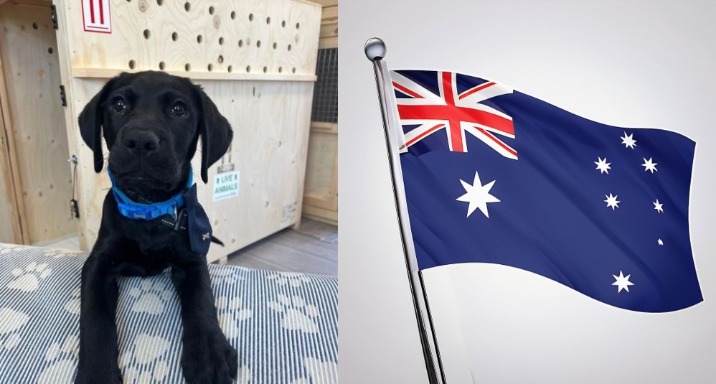 Retiring In Portugal: The Up To Date Guide For 2025