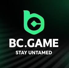 Maximize Your Earnings A Guide to Using BC.Game Bonuses Maximize Your Earnings A Guide to Using BC.Game Bonuses