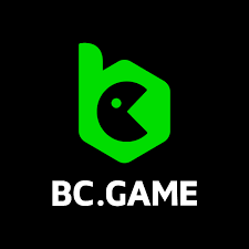 دعم BC.Game كيفية الحصول على المساعدة والدعم