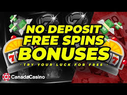Unlock 425 Free Spins No Deposit A Player's Guide 843400190