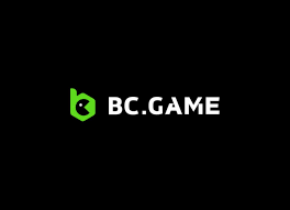 Experience the Thrill of BC.Game DK Casino