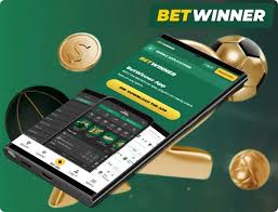 BetWinner Betting Platform Review and Insights