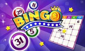 Discover the Best Bingo Sites Not Affected by Recent Changes
