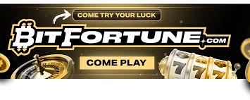 Bitfortune A Game-Changer for Crypto Players Payment Solutions