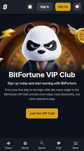 Bitfortune Casino Compared with Other Online Casinos -1321917605