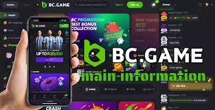 Explore the Exciting World of BC.Game CM Casino Platform