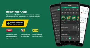 Exploring BetWinner Sportsbook A Guide for Bettors